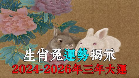 兔 運勢|2024屬兔幾歲、2024屬兔今年運勢、屬兔幸運色